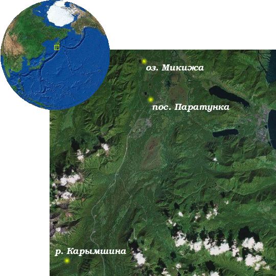 paratunka_depart_ru